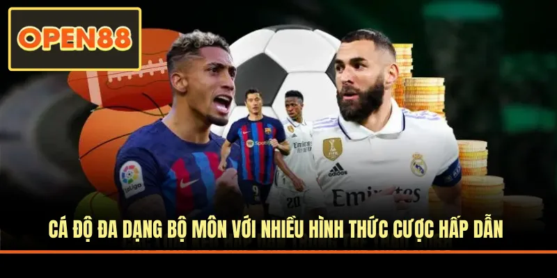 Cá độ đa dạng bộ môn với nhiều hình thức cược hấp dẫn