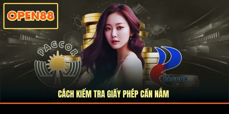 Cách kiểm tra giấy phép cần nắm