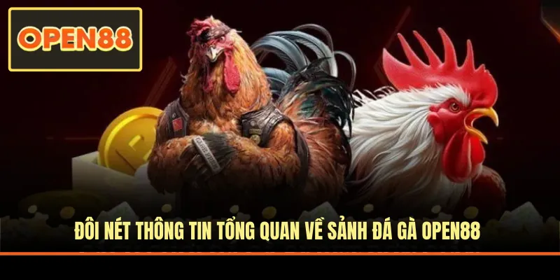 Đôi nét thông tin về sảnh đá gà OPEN88